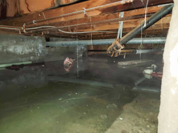 24/7 water damage repair in WA
