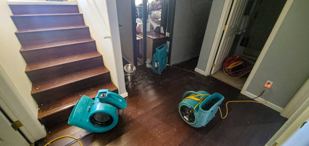 Best Carpet water damage restoration  in Moses Lake North, WA