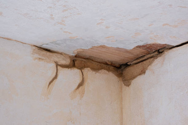 Best Ceiling water damage repair  in Moses Lake North, WA