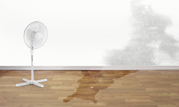 Best Flooded house restoration  in Moses Lake North, WA