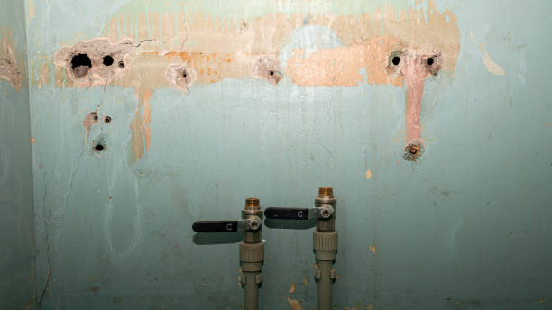 Best Emergency water damage restoration  in Moses Lake North, WA