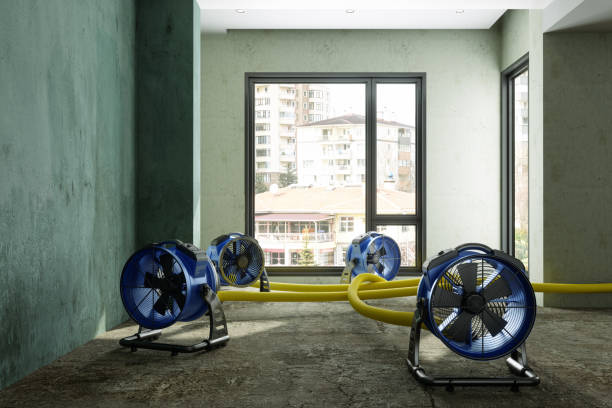 Best Mold removal after water damage  in Moses Lake North, WA