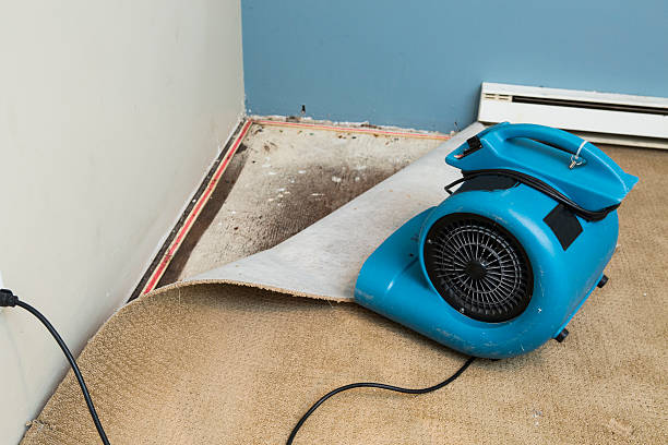 Best Sewage cleanup and water damage restoration  in Moses Lake North, WA